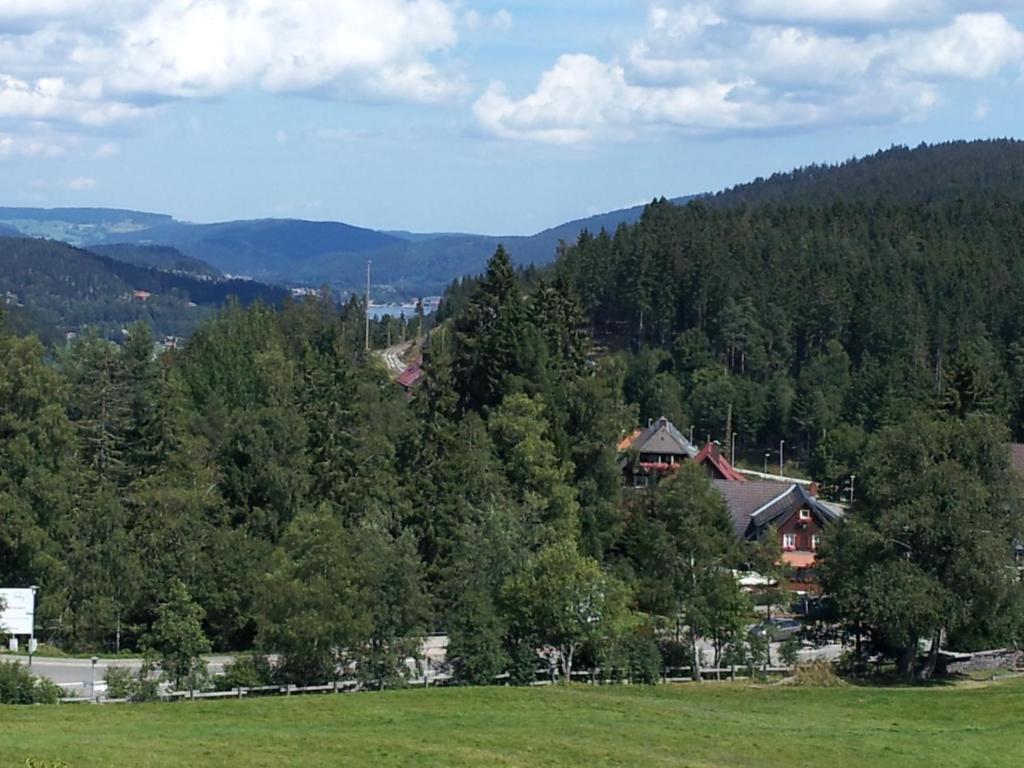 Schwarzwald-Chalet Feldberg Feldberg  Dış mekan fotoğraf