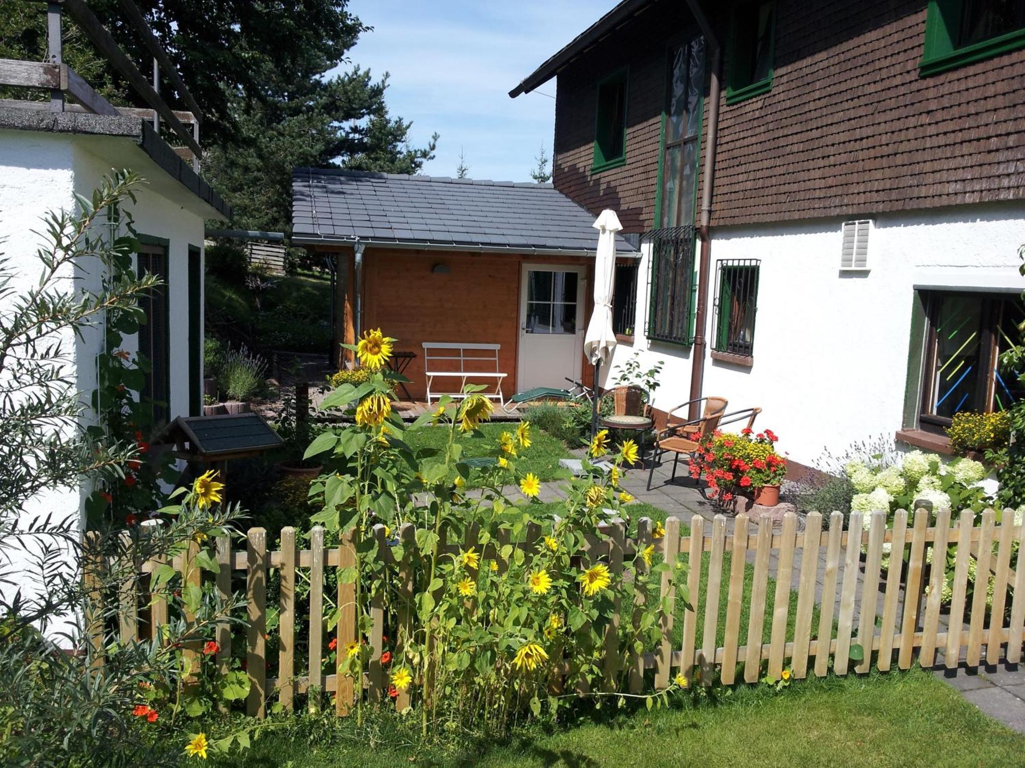 Schwarzwald-Chalet Feldberg Feldberg  Dış mekan fotoğraf